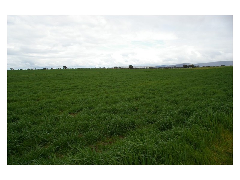 Lot 4,  Noble Road, Cowra NSW 2794