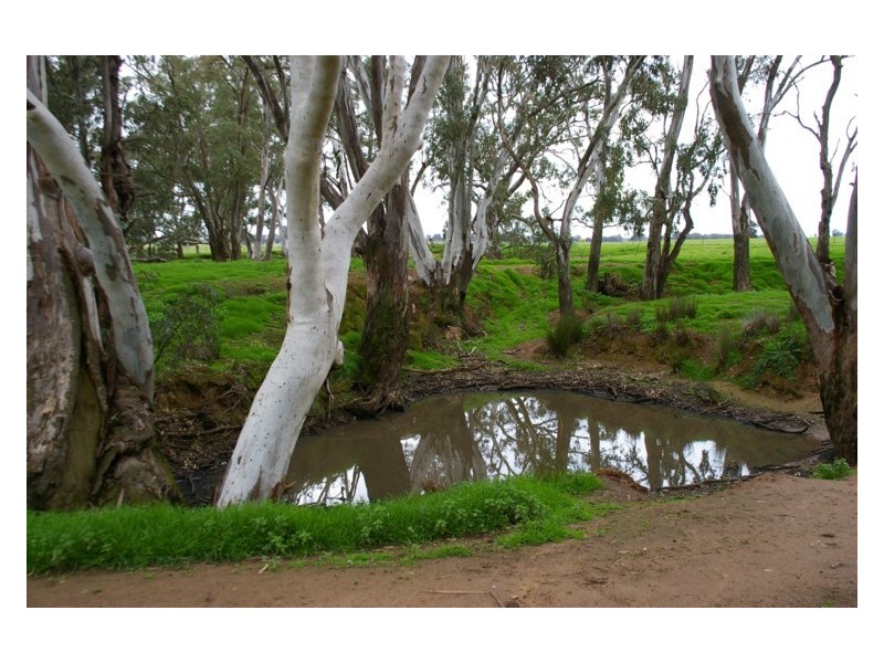 Lot 4,  Noble Road, Cowra NSW 2794