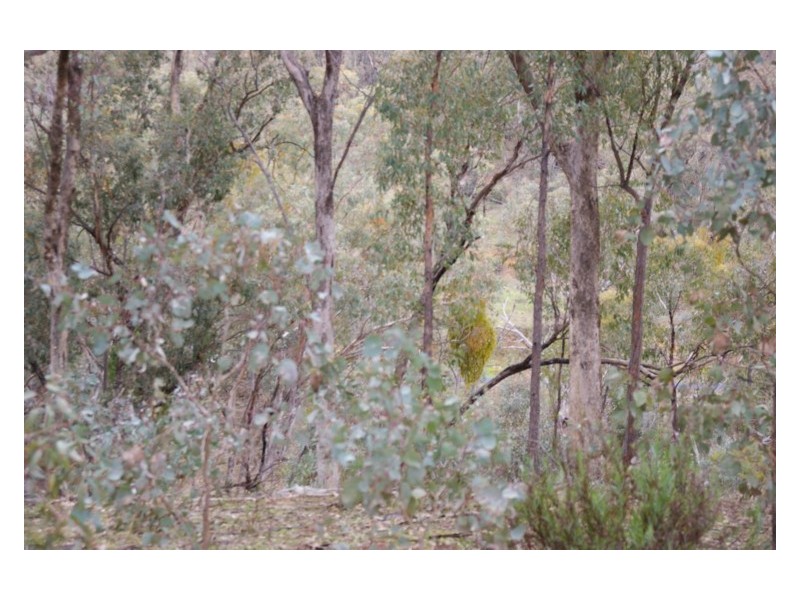 239 Blue Mantle Road, Wyangala NSW 2808