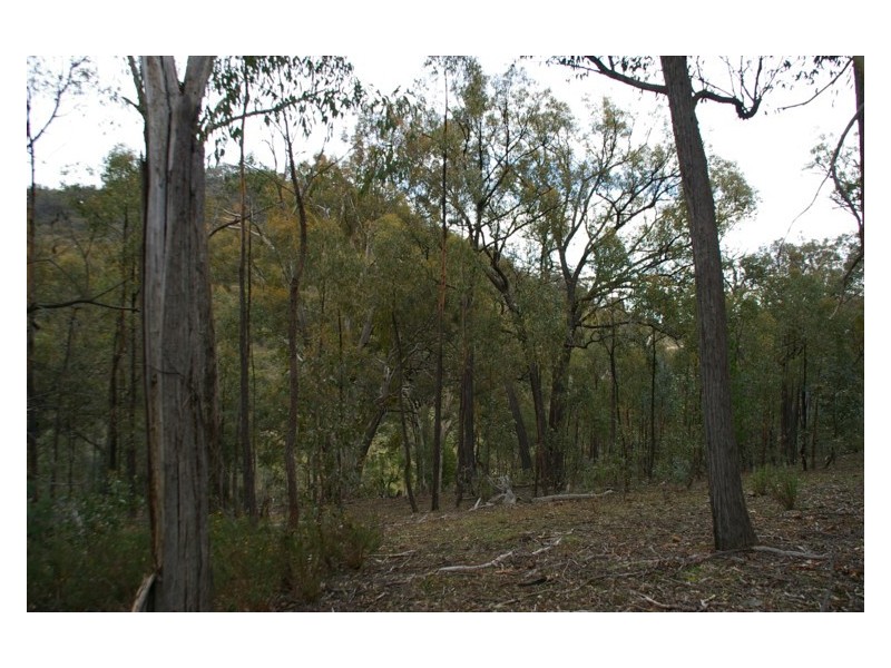 239 Blue Mantle Road, Wyangala NSW 2808