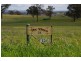 138 Cultowa Lane, Billimari NSW 2804