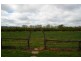 44 Carro Park Road, Cowra NSW 2794