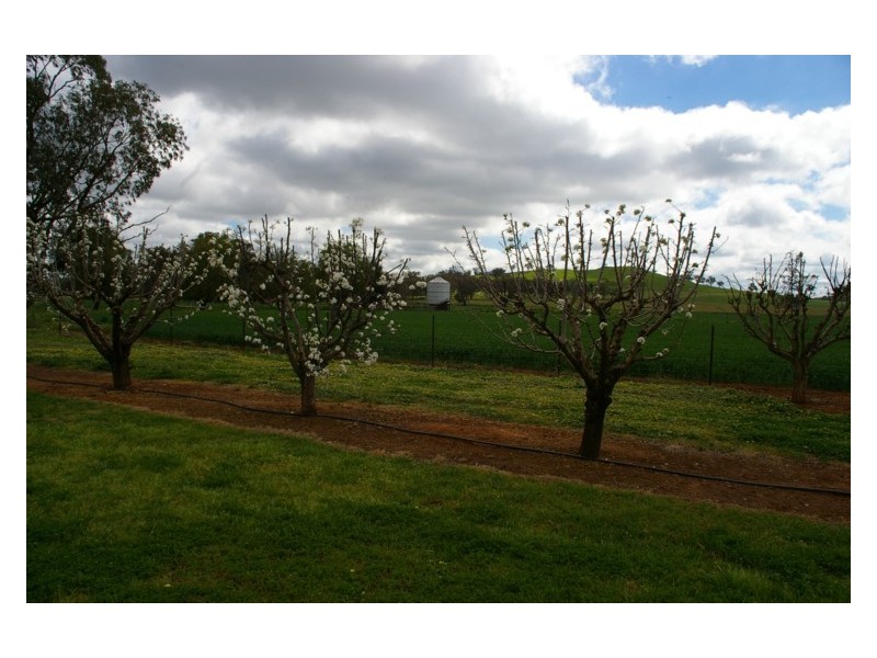 44 Carro Park Road, Cowra NSW 2794