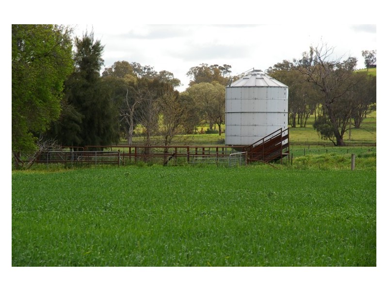 44 Carro Park Road, Cowra NSW 2794