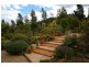 31 Peter Whitty Road, Darbys Falls NSW 2793