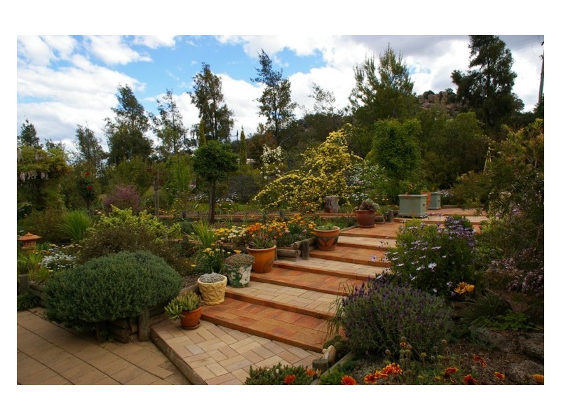 31 Peter Whitty Road, Darbys Falls NSW 2793
