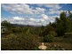 31 Peter Whitty Road, Darbys Falls NSW 2793