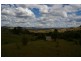 31 Peter Whitty Road, Darbys Falls NSW 2793