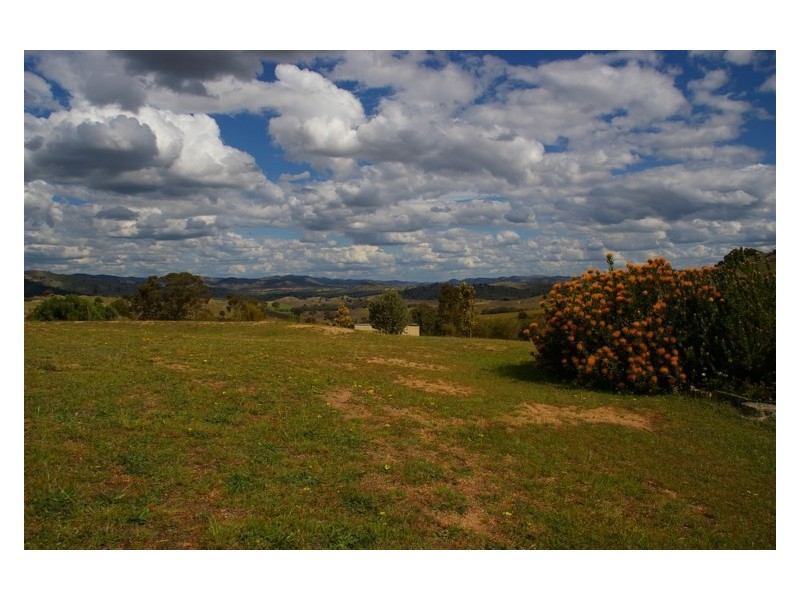 31 Peter Whitty Road, Darbys Falls NSW 2793
