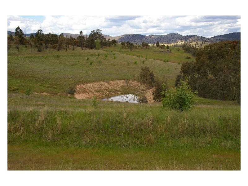 31 Peter Whitty Road, Darbys Falls NSW 2793