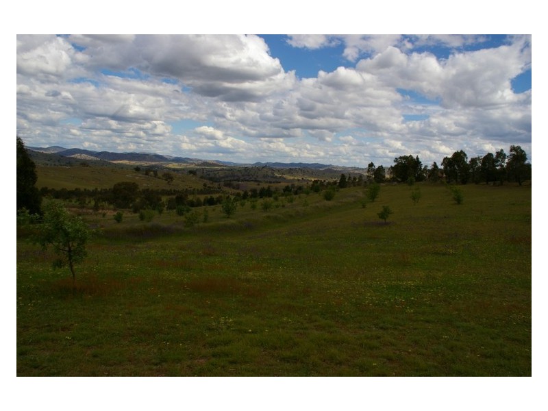 31 Peter Whitty Road, Darbys Falls NSW 2793