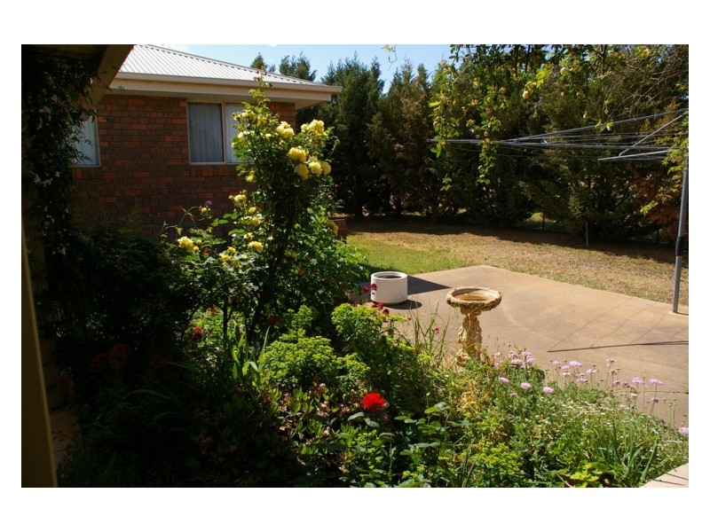 19 Willowvale Road, Cowra NSW 2794