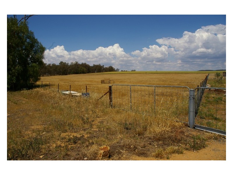 Lot 2 Waddell Street, Wattamondara NSW 2794