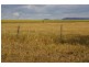 Lot 2 Waddell Street, Wattamondara NSW 2794