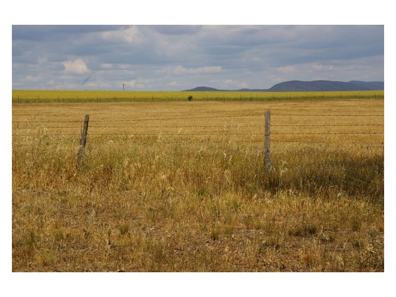 Lot 2 Waddell Street, Wattamondara NSW 2794