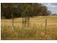 Lot 2 Waddell Street, Wattamondara NSW 2794