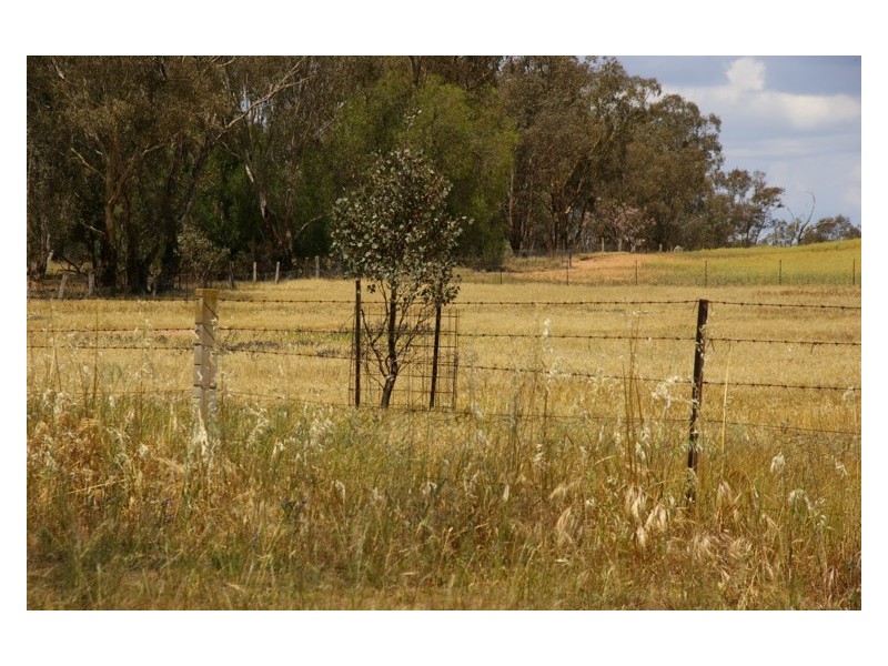 Lot 2 Waddell Street, Wattamondara NSW 2794