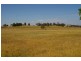 Lot 2,  Willowvale Road, Cowra NSW 2794