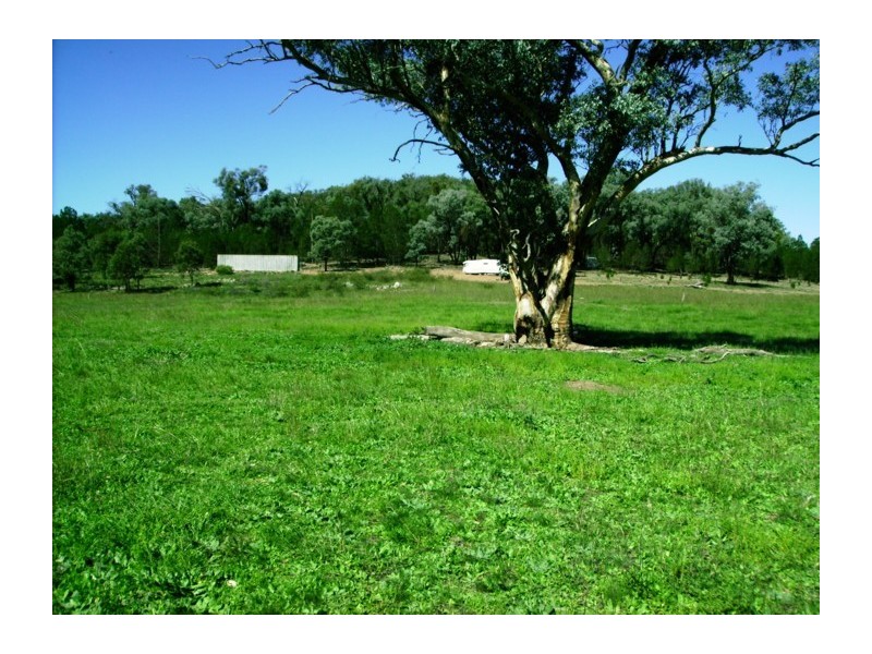 Lot 15,  Kangarooby Road, Gooloogong NSW 2805
