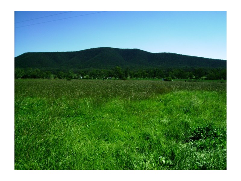 Lot 15,  Kangarooby Road, Gooloogong NSW 2805