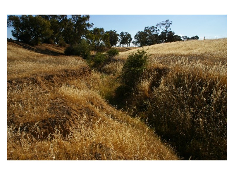 ‘Tyagong’, Greenethorpe NSW 2809