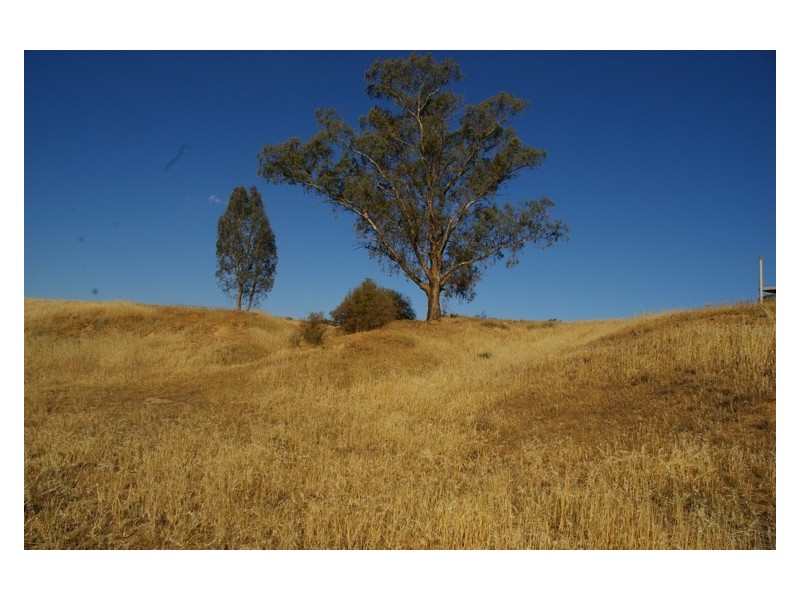 ‘Tyagong’, Greenethorpe NSW 2809