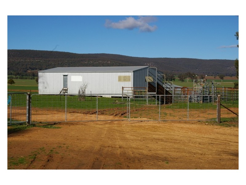 Grenfell Road, Gooloogong NSW 2805