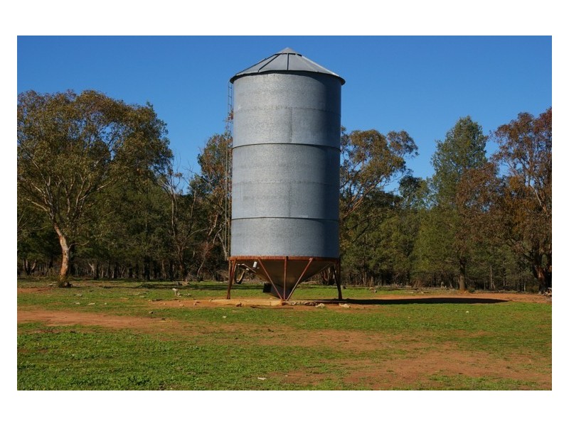 Grenfell Road, Gooloogong NSW 2805