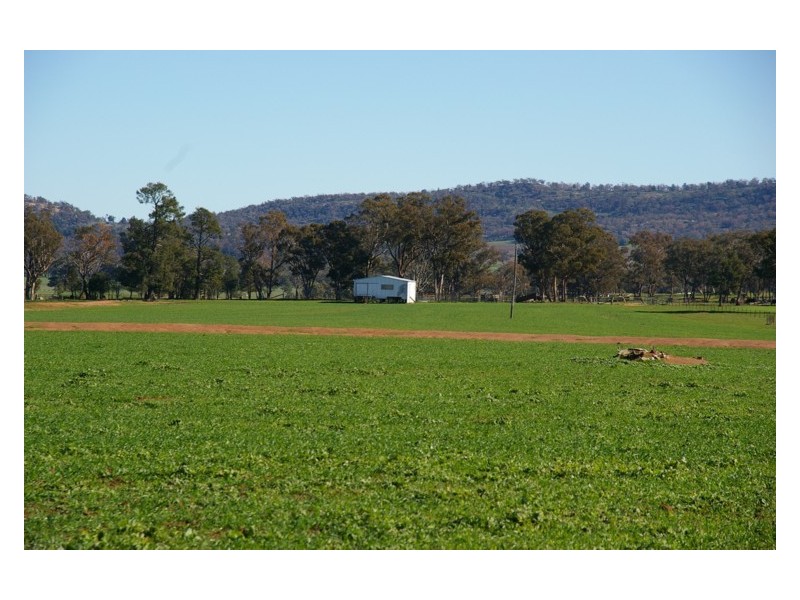 Grenfell Road, Gooloogong NSW 2805