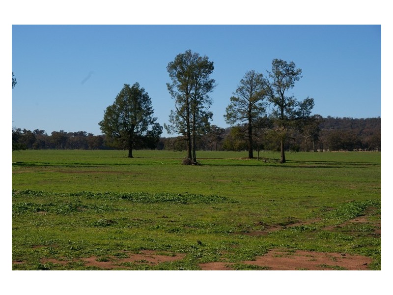 Grenfell Road, Gooloogong NSW 2805