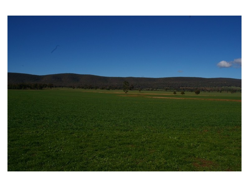 Grenfell Road, Gooloogong NSW 2805