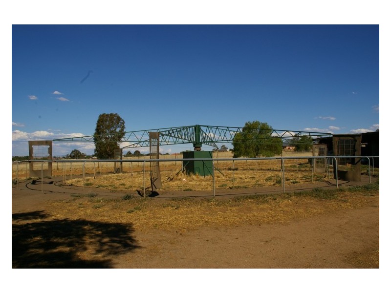 19 Airport Road, Cowra NSW 2794