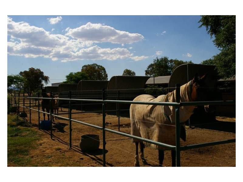 19 Airport Road, Cowra NSW 2794
