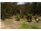 341 Horton Drive, Woodstock NSW 2793