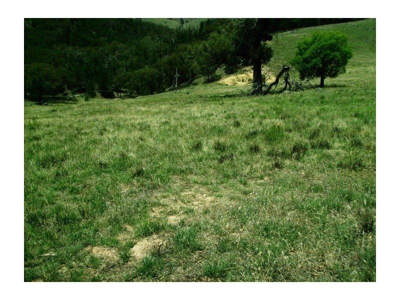 Lot 205, 630 Clements Road, Woodstock NSW 2793