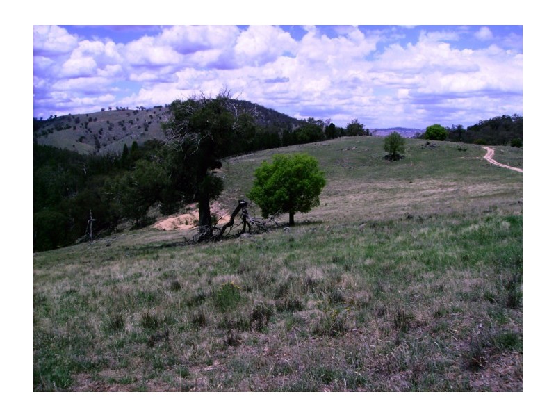 Lot 205, 630 Clements Road, Woodstock NSW 2793