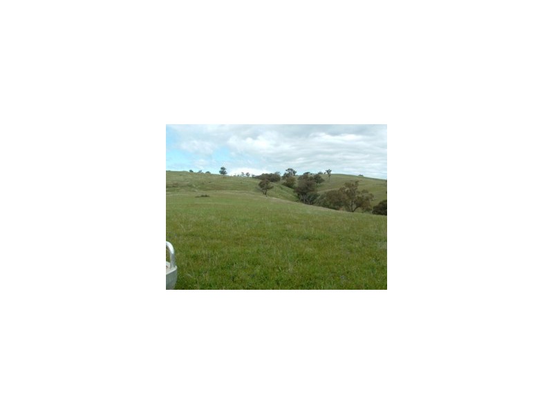 Elliotts Road, Crowther NSW 2803