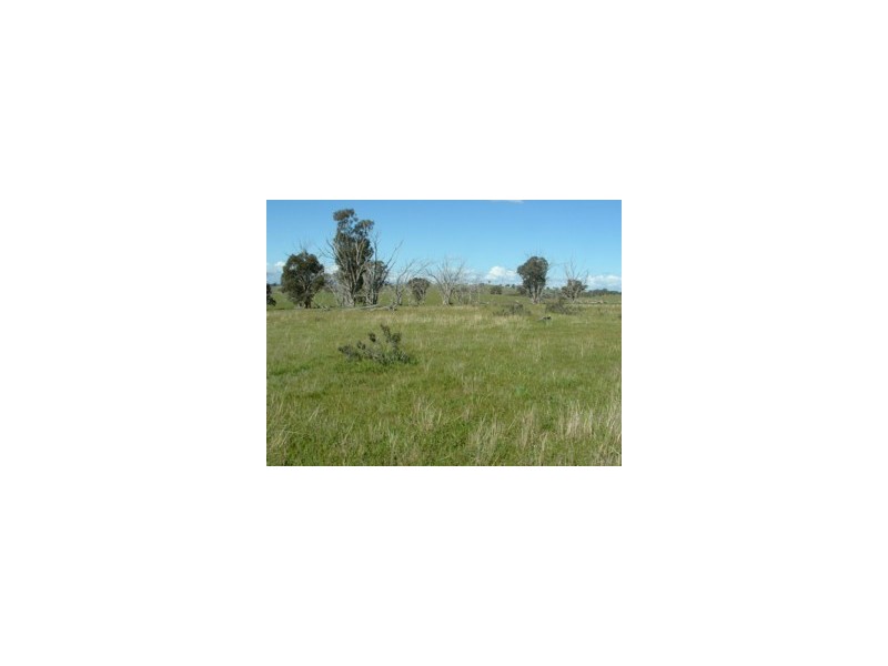 Elliotts Road, Crowther NSW 2803
