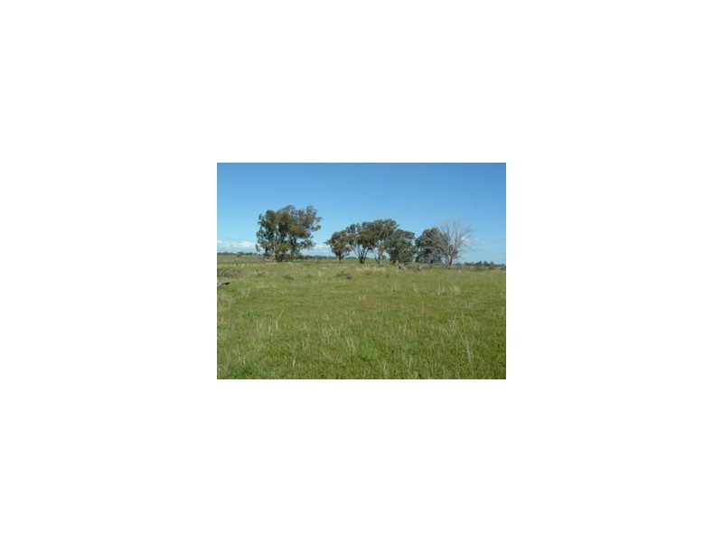 Elliotts Road, Crowther NSW 2803