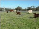 Elliotts Road, Crowther NSW 2803