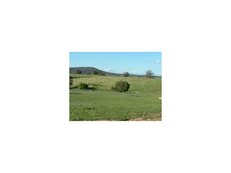 Elliotts Road, Crowther NSW 2803