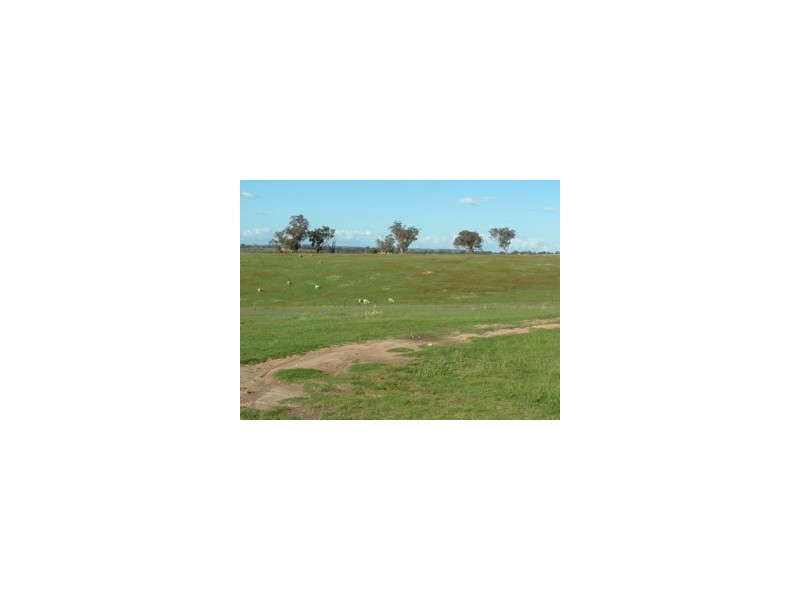 Elliotts Road, Crowther NSW 2803