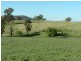 Elliotts Road, Crowther NSW 2803
