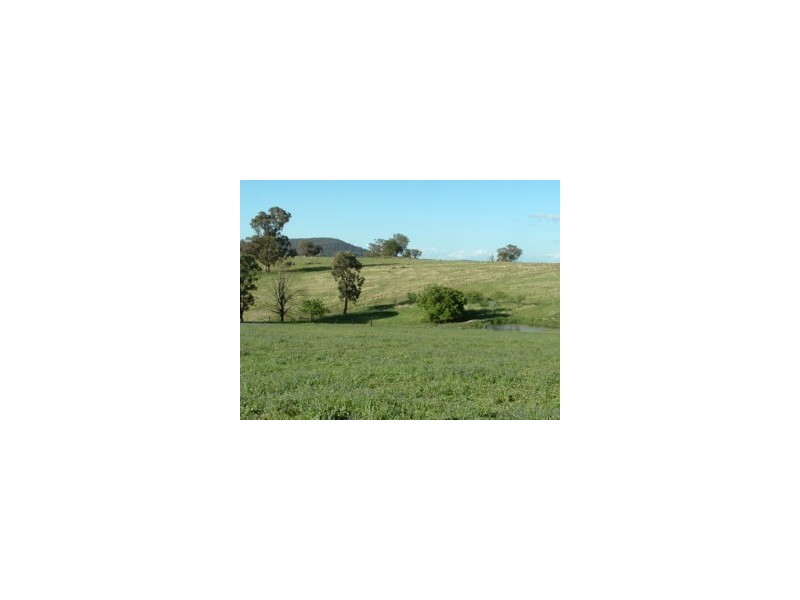 Elliotts Road, Crowther NSW 2803