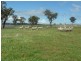 Elliotts Road, Crowther NSW 2803
