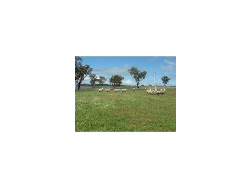 Elliotts Road, Crowther NSW 2803