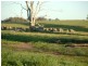 Elliotts Road, Crowther NSW 2803
