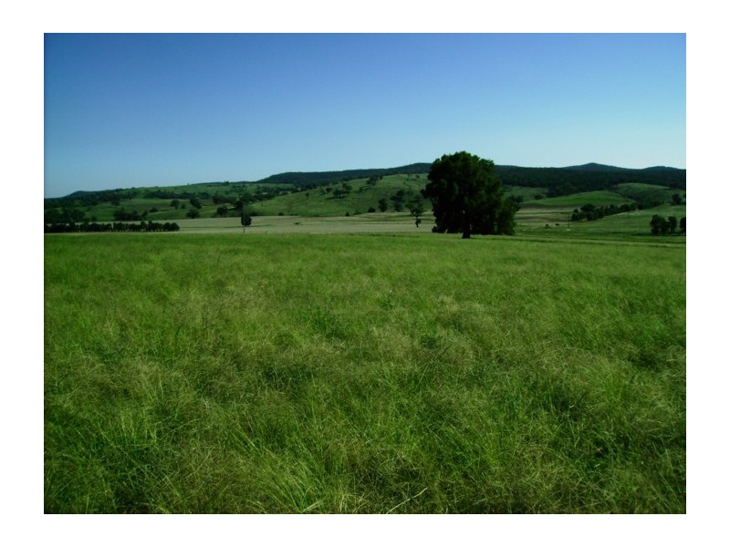 Mid Western Highway, Cowra NSW 2794