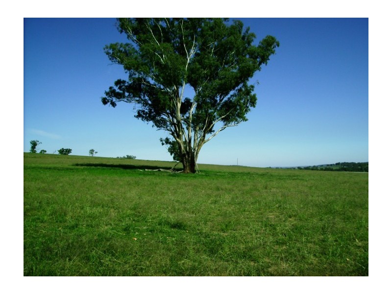 Mid Western Highway, Cowra NSW 2794