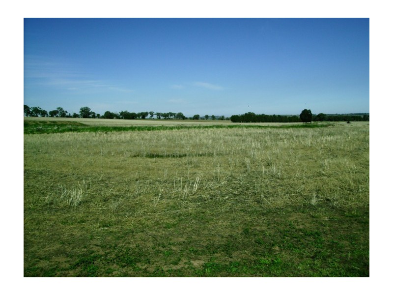 Mid Western Highway, Cowra NSW 2794